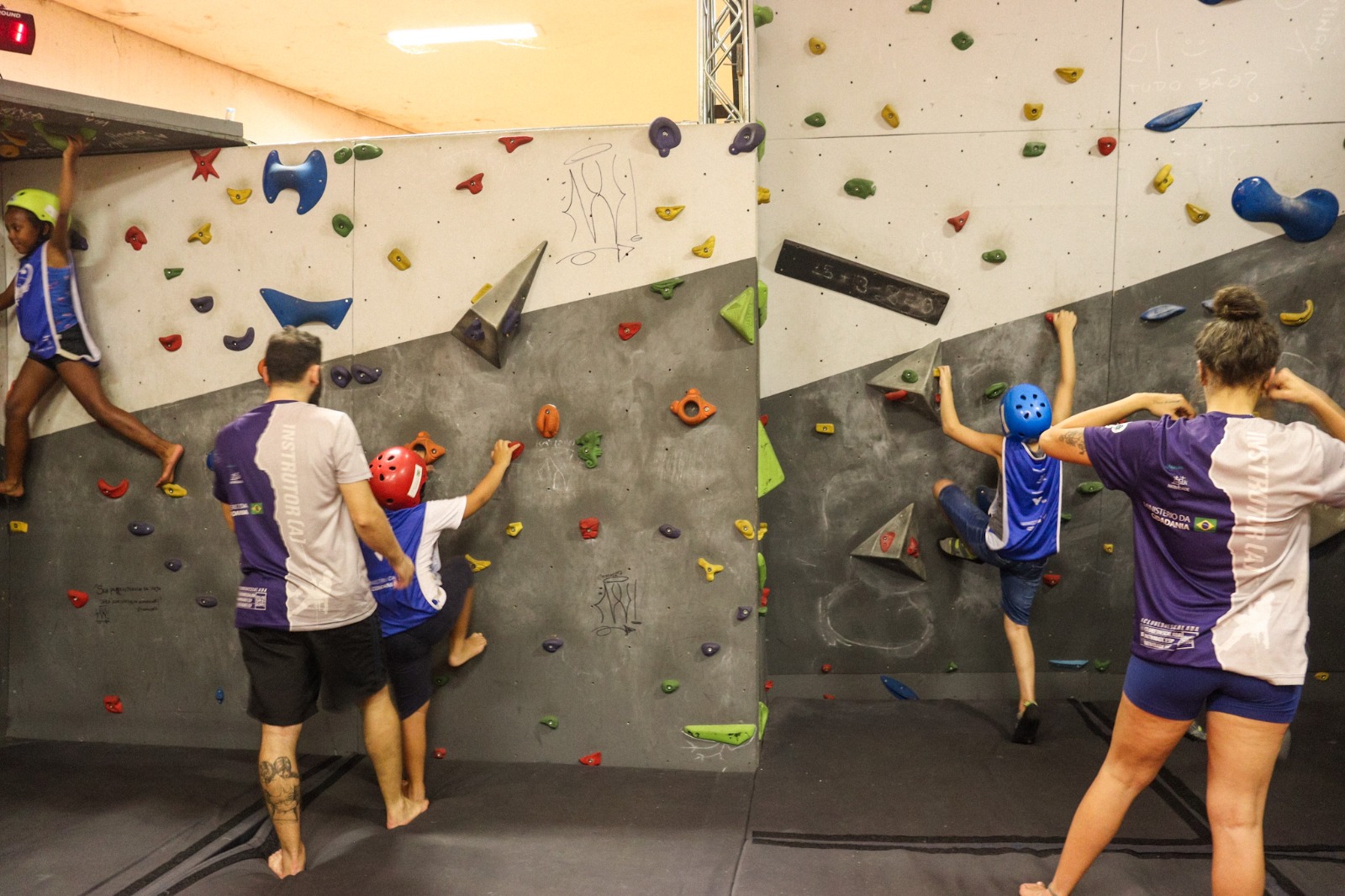 Capa do projeto: Matérias Oficiais e Diário Oficial